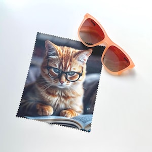 May include: A square microfiber cleaning cloth featuring a printed image of an orange tabby cat wearing black-rimmed glasses while reading an open book, accompanied by a pair of translucent peach-colored sunglasses with dark tinted lenses.