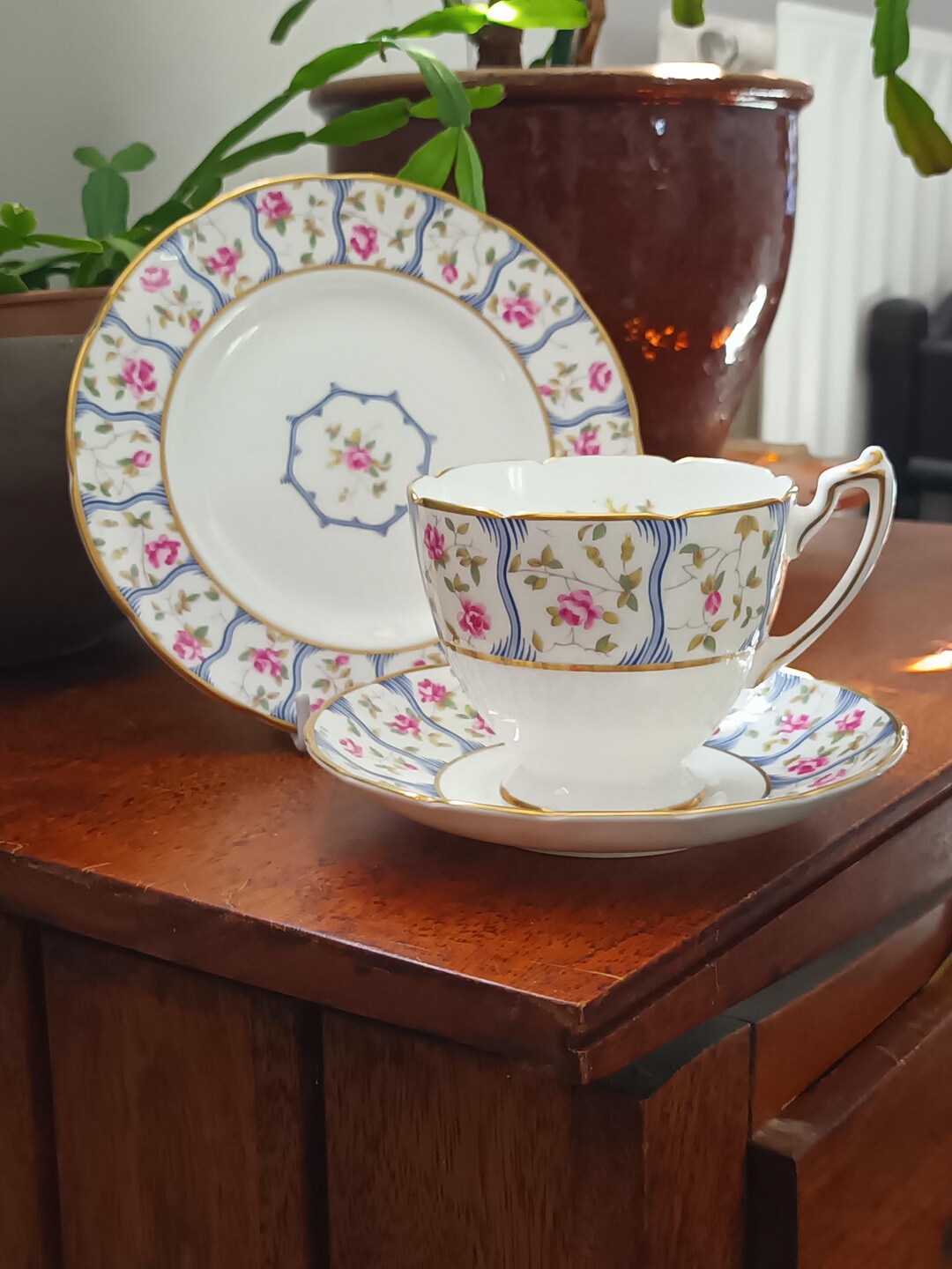 Fabulous Rare Vintage Coalport Trellis Rose English Bone China