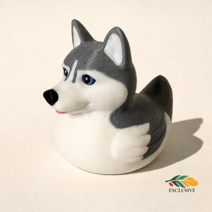 May include: A novelty rubber duck designed to resemble a Siberian Husky dog. The duck features a white body with gray markings, blue eyes, and a black nose. The duck has a small pink mouth and is marked with the word "EXCLUSIVE".