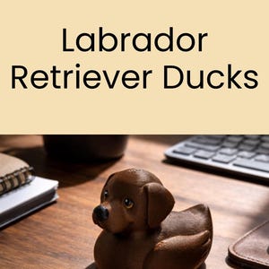 May include: Brown and black Labrador Retriever duck figurines. The brown duck is on a wooden surface, and the black duck is on a light-colored surface. The ducks are shaped like Labrador Retrievers.