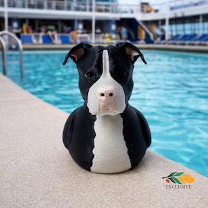 May include: A black and white dog-shaped decorative item with a pink nose and a white stripe down its face. The item is sitting on the edge of a pool. The word "EXCLUSIVE" is printed on the bottom right.