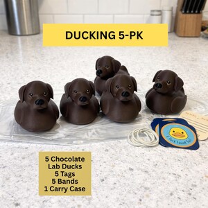 May include: A set of five chocolate-colored Lab duck figurines with black noses and brown eyes. The set includes tags, bands, and a carry case. The text "DUCKING 5-PK" is displayed above the ducks.