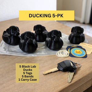 May include: A set of five black Lab-shaped ducks, tags, bands, and a carry case. The ducks are arranged on a clear surface, with a key and a tag that says "A Duck Found Me". The text "DUCKING 5-PK" is displayed in a yellow box.
