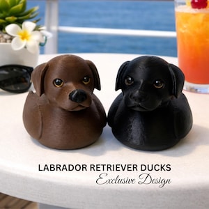 May include: Two Labrador Retriever duck figurines, one brown and one black, sit side-by-side on a white surface. The brown duck has a dark nose and the black duck has a shiny coat. The text "LABRADOR RETRIEVER DUCKS Exclusive Design" is below the ducks.