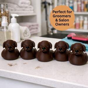 May include: Five brown rubber duckies shaped like Labrador Retrievers are arranged in a row. The duckies have black eyes and noses. The background includes grooming supplies and the text "Perfect for Groomers & Salon Owners".
