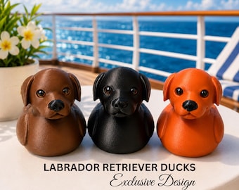 Labrador Cruise Duck Hide Seek Jeep Ducking Party Favor Gifts Him Birthday Present Bon Voyage Travel Enthusiast Gift Idea Chocolate Lab