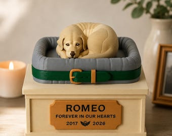 Caixa de lembranças personalizada para animais de estimação, presente personalizado em memória de cães, presente de condolências pela perda de um animal de estimação, caixa de memórias personalizada, estatueta personalizada de gato.