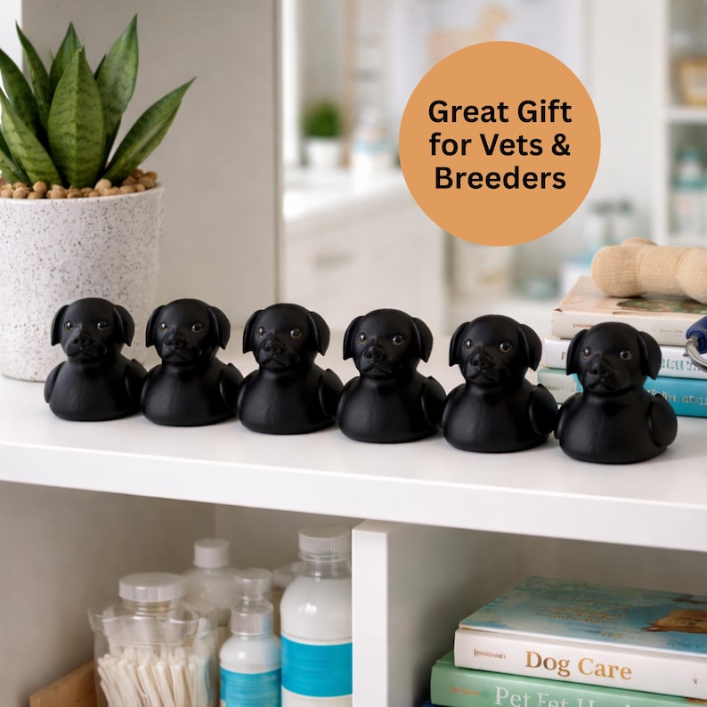 May include: Six black Labrador retriever figurines are arranged on a white shelf. The figurines are glossy and have detailed features. A potted plant and books are visible in the background. The text "Great Gift for Vets & Breeders" is in a circle.
