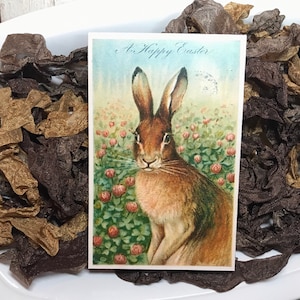 CHOCOLATE BUNNY- crinkled seam binding