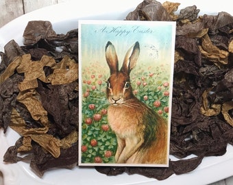 CHOCOLATE BUNNY- crinkled seam binding