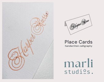 Place Cards | Handwritten Calligraphy | Wedding Name Cards | Custom Name Plates | Copperplate Calligraphy | Copper Ink Placeringskort