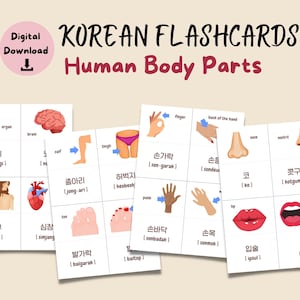 韓国語の体の部位フラッシュカード、韓国語の語彙を学ぶ、初級から中級までの韓国語の語彙、印刷可能なPDFダウンロード、ハングルのワークシート