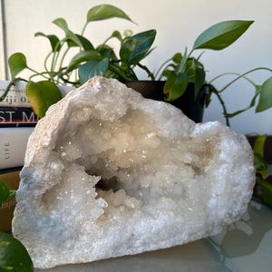 May include: A large, open geode with a rough, off-white exterior and a sparkling, crystal-filled interior. The geode is displayed on a reflective surface, with green plants in the background.