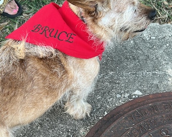 Personalized Embroidered Dog Bandana: Custom Cotton Pet Scarf