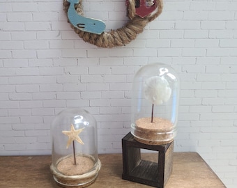 Nautical Seashell Display Cloche, Museum Display for Dollhouse scale 1:12