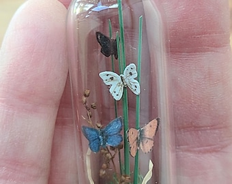 Butterfly Display Cloche, Museum Specimen Display Butterflies Insects for Dollhouse scale 1:12