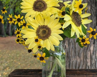 Sunflower Seeds- 100 seeds per packet.