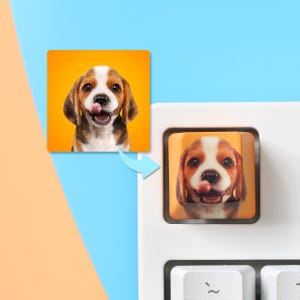 May include: A square, orange-toned keyboard key with a beagle puppy image. The puppy has brown, white, and black fur, with its tongue sticking out. A matching image is next to the key, with a blue arrow pointing to the key.