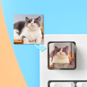 以下が含まれることがあります： オレンジ色の目を持つ、グレーと白の猫のプリント画像が施された正方形のキーボードキーキャップ。猫は木製の表面に横たわっています。キーキャップの隣には、猫の大きな画像が表示されています。
