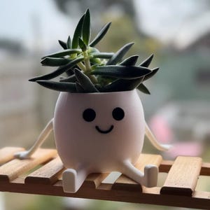 happy pot , happy cute plant pot , pot flower , pot cute , decoration indoor , planter pot, happy face plant , birthday gift , cute planter