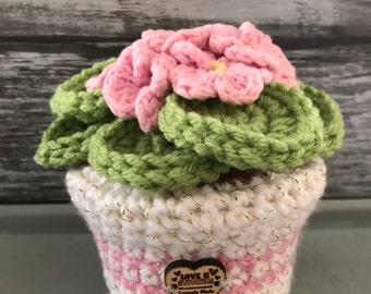 Forever Blooming Hand Crocheted Pot of African Violets - Pink Flowers/-White with Gold/Pink Metallic Pot