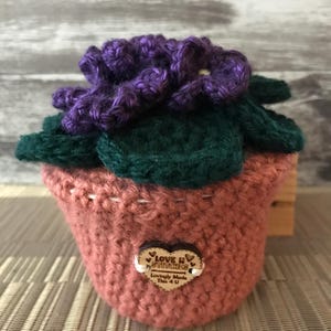 May include: A handmade crochet succulent plant in a peach-colored pot. The plant features dark green leaves and a vibrant purple flower. A small wooden heart with the text "Love n Stitches" is attached to the pot.