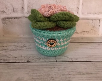 Forever Blooming Hand Crocheted Pot of African Violets - Light Mauve Flowers/Turquoise-White with Gold Metallic Pot