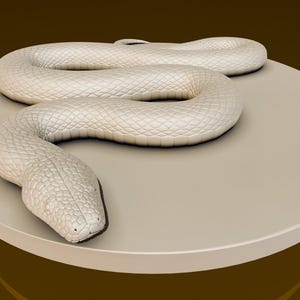 Constrictor | Snake | DND Miniatures | DND Model | DungeonGuildMerchant | No Assembly Required | 1 Piece | TTrpg Mini