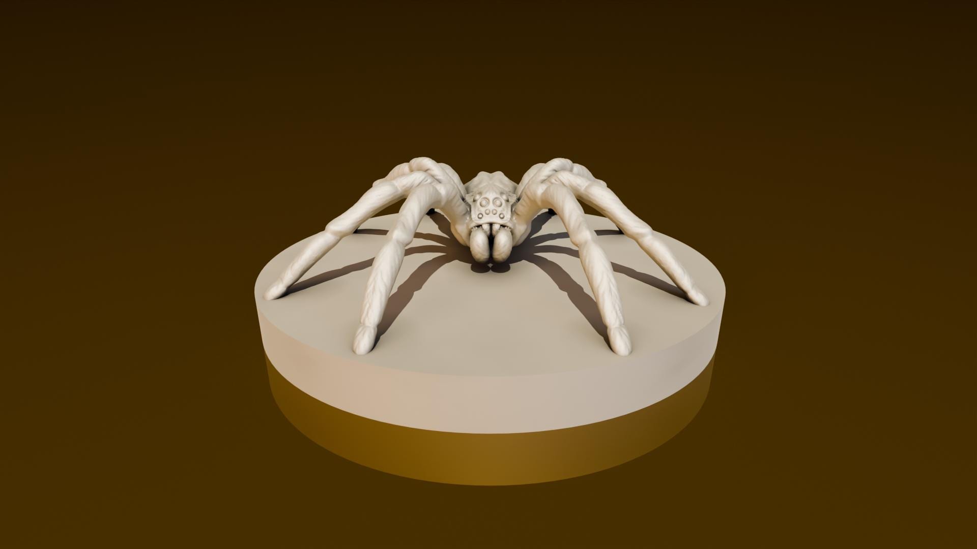 Wat is deze spin en is hij giftig? : r/AustralianSpiders, image size:1920x1080