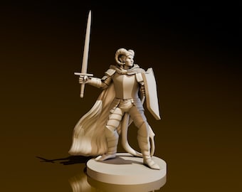 Tiefling Paladin | DND Miniaturen | DND Modell | DungeonGildenKaufmann | Keine Montage Erforderlich | TTrpgMini
