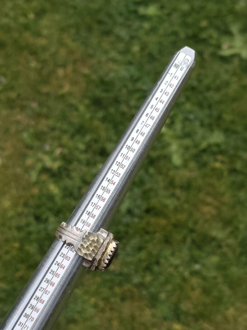 Peut inclure: Une bague en argent avec un anneau textur&eacute; et une grosse pierre pr&eacute;cieuse rouge fonc&eacute; est pr&eacute;sent&eacute;e sur un baguier. Le baguier a des mesures en tailles fran&ccedil;aises. Le fond est vert flou.