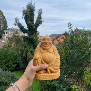 Golden Shrek Buddha