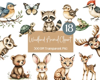 Watercolor Woodland Animals Clipart: Forest Nursery Art (PNG Digital Download)
