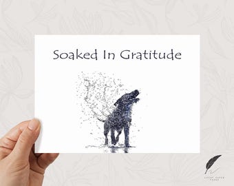 Doodle Dog Thank You Card | Soaked In Gratitude | Cute Dog Note Card | Customize Message Or Leave Blank |  Animal Thank You Note Card