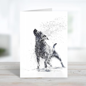 See Hunde Nass Labrador Hund Shakes | Niedliche Hund Grußkarte | Nachricht anpassen oder innen leer | Grußkarte mit Tiermotiv & Umschläge | Vielen Dank