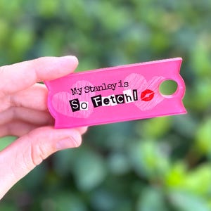 Mean Girls Stanley Tumbler Plate: &#39;So Fetch&#39; Lid Topper For 40oz or 30oz