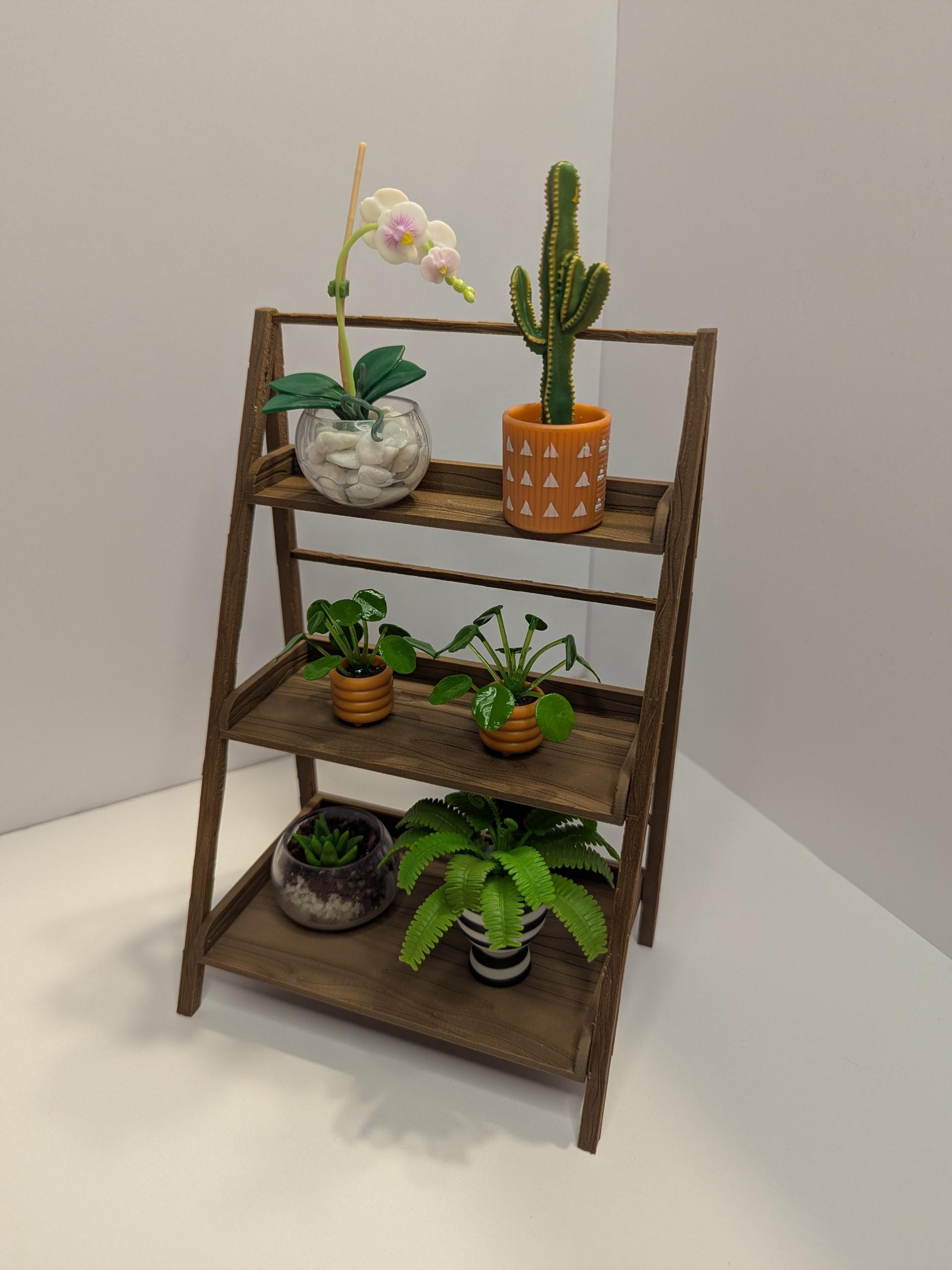 1:6 Scaled Mini Plant Shelf | Miniverse Display | Miniverse Nature