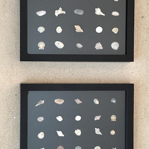 Assortiment d&#39;oeuvres d&#39;art en boîte d&#39;ombre naturelles pour mini coquillages de plage - Cadre noir