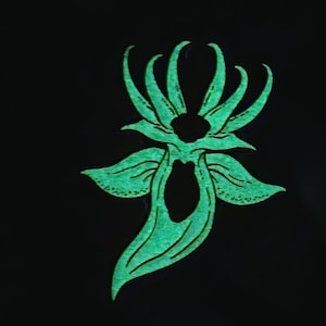 May include: A glowing, light green, abstract floral-shaped design set against a solid black background. The graphic features symmetrical, pointed petal-like extensions radiating outward with dark, hollow, organic-shaped cutouts in the center.