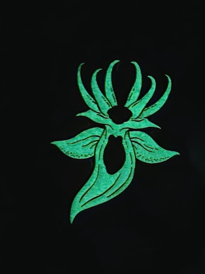May include: A glowing, light green, abstract floral-shaped design set against a solid black background. The graphic features symmetrical, pointed petal-like extensions radiating outward with dark, hollow, organic-shaped cutouts in the center.