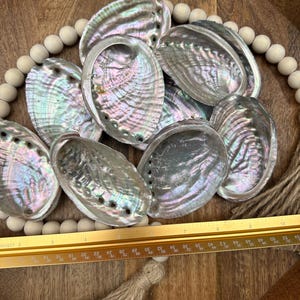 May include: A collection of iridescent abalone shells with a pearlescent sheen, arranged in a wooden tray. The shells display a range of colors, including blues, greens, and pinks. A gold ruler is placed near the shells. A decorative tassel and wooden beads are also present.