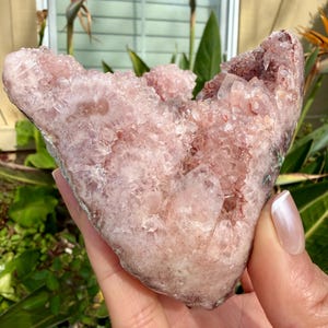 Op de afbeelding: Een grote, ruwe, roze amethist geode kristalcluster. Het kristal heeft een ruw, getextureerd oppervlak met verschillende tinten roze en paars. De geode wordt in een hand gehouden, met groene bladeren op de achtergrond.