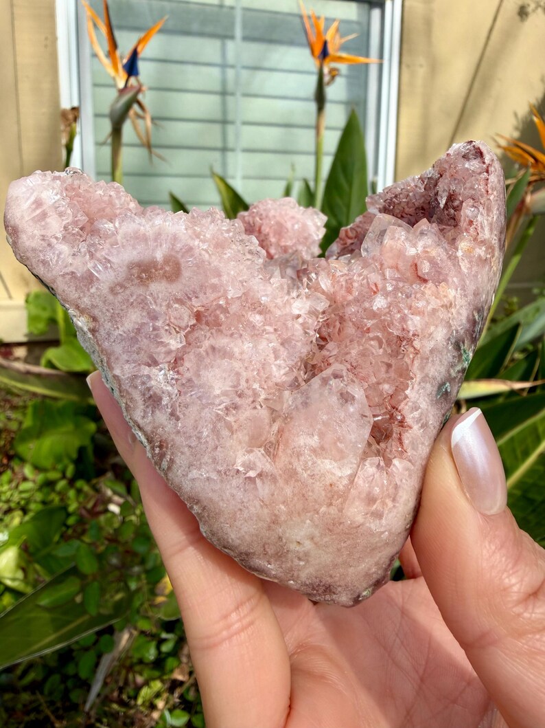Op de afbeelding: Een grote, ruwe, roze amethist geode kristalcluster. Het kristal heeft een ruw, getextureerd oppervlak met verschillende tinten roze en paars. De geode wordt in een hand gehouden, met groene bladeren op de achtergrond.