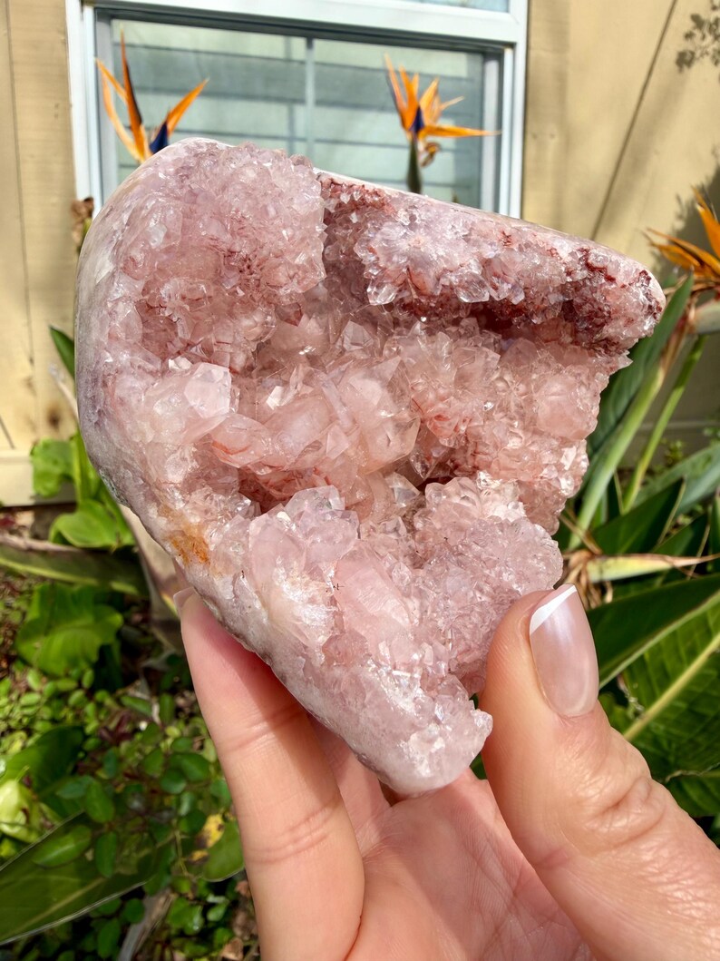 Op de afbeelding: Een grote, roze kristallen geode met een ruw, getextureerd oppervlak. De geode wordt in een hand gehouden en is omgeven door groene bladeren en oranje bloemen. De binnenkant van het kristal is gevuld met kleinere, glinsterende kristallen.