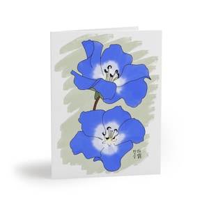 Tarjetas de felicitación con flores - Nemophila (8, 16 y 24 unidades)