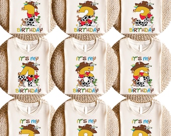 It's My Birthday Sweatshirt, Woody Birthday Shirt, Disney Toy Story Birthday Boy T-Shirt, Cowboy Birthday Party Shirt, Personalized shirts