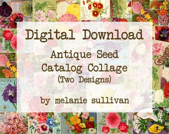 Digital Download: Antique Seed Catalogs - Bright Florals