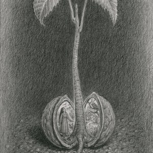 May include: A detailed pencil drawing of a tree sprouting from a split nut. The tree's trunk extends upwards, with two large leaves at the top. Inside the nut, there are detailed illustrations of figures and scenes.