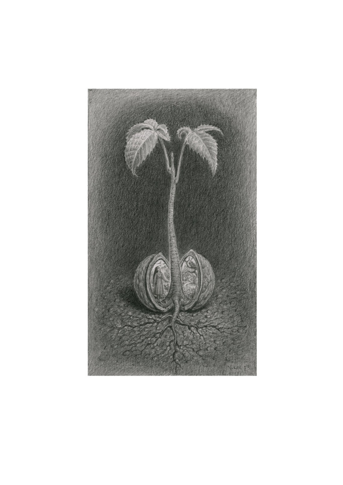 Life in a Nutshell Fine Art Print by Virginia Lee Etsy UK