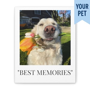 Custom Pet Canvas - Personalized Dog Cat Photo Print - 8x10 Wall Art